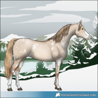 Horse Color:White Spotted Liver Red Dun Pearl Sabino Rabicano 