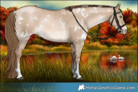 Horse Color:White Spotted Liver Red Dun Pearl Sabino Rabicano 
