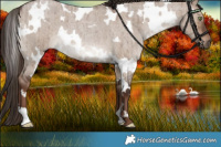Horse Color:White Spotted Liver Red Dun Roan Brindle