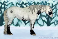 Horse Color:Silver Grullo Ice Onyx Sabino 