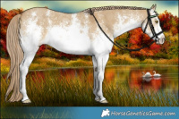 Horse Color:White Spotted Chocolate Palomino Dun Sabino 