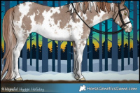 Horse Color:White Spotted Liver Red Dun Sabino 
