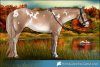 Horse Color:White Spotted Liver Chestnut Pearl 