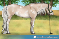 Horse Color:White Spotted Liver Red Dun Pearl Mushroom 
