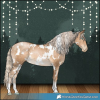 Horse Color:White Spotted Chocolate Palomino Pearl 