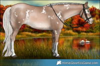 Horse Color:White Spotted Liver Chestnut Pearl Mushroom Rabicano 