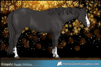Horse Color:Smoky Black 