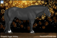 Horse Color:Black Sabino