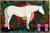 Horse Color:Smoky Creme Dun Splash 