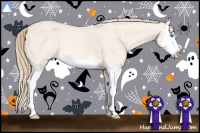 Horse Color:Perlino Dun Splash 