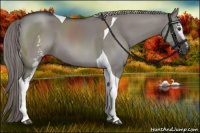 Horse Color:Platinum White Spotted Liver Red Dun Tobiano 