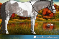 Horse Color:Platinum Liver Chestnut Sabino Tobiano 