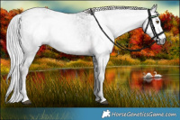Horse Color:Gray Platinum White Spotted Chocolate Palomino Ice Sabino