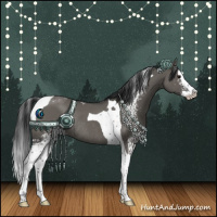 Horse Color:White Spotted Grullo Splash Tobiano Rabicano 