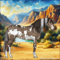 Horse Color:White Spotted Liver Red Dun Brindle 