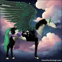 Horse Color:Watercolor Buckskin Ice Tobiano 