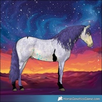 Horse Color:Watercolor Buckskin Ice Roan Tobiano 