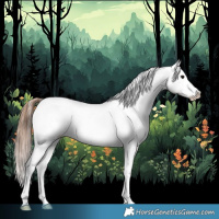 Horse Color:Bay Ice Roan Splash Tobiano Blanket 