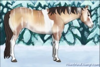 Horse Color:White Spotted Bay Ice Onyx Tobiano Rabicano 