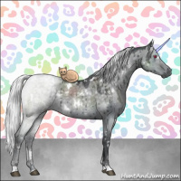 Horse Color:White Spotted Silver Grullo Chinchilla Sabino Brindle