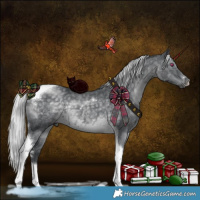 Horse Color:Silver Black Chinchilla Sabino Tobiano 