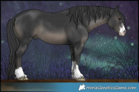 Horse Color:Black Sabino