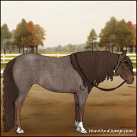 Horse Color:Liver Red Roan 