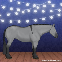 Horse Color:Grullo Chinchilla 