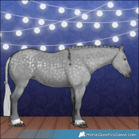 Horse Color:Silver Grullo Chinchilla 