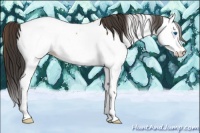 Horse Color:Bay Roan Splash Appaloosa Rabicano 