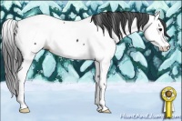 Horse Color:Black Splash Appaloosa 
