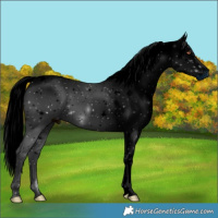 Horse Color:ERROR: UNKNOWN ANOMALY