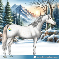 Horse Color:Red Dun Roan Appaloosa 
