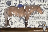 Horse Color:White Spotted Silver Brown Dun