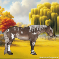 Horse Color:White Spotted Silver Brown 