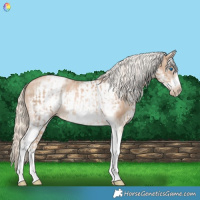 Horse Color:Chocolate Palomino Pearl Tobiano Frame  and White Spotted Chocolate Palomino Pearl Frame 