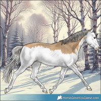 Horse Color:Silver Buckskin Roan Splash 