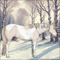 Horse Color:Smoky Creme Roan Tobiano 