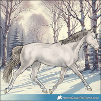 Horse Color:Smoky Creme Roan 
