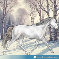 Horse Color:Smoky Creme Roan Splash Tobiano 