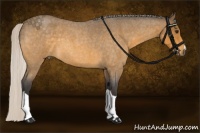 Horse Color:Silver Buckskin Roan 