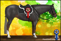 Horse Color:Liver Chestnut Mushroom 