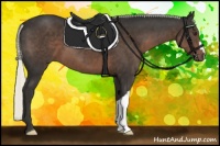 Horse Color:Liver Chestnut Mushroom 
