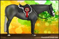 Horse Color:Liver Chestnut Mushroom 