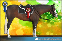 Horse Color:Liver Chestnut Mushroom 