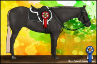 Horse Color:Liver Chestnut Mushroom 