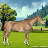 Horse Color:White Spotted Chestnut Splash