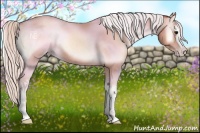 Horse Color:White Spotted Silver Classic Champagne Onyx 