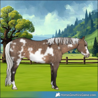Horse Color:White Spotted Silver Brown Dun Frame 