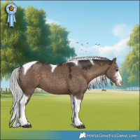 Horse Color:Silver Brown Dun Sabino Tobiano 